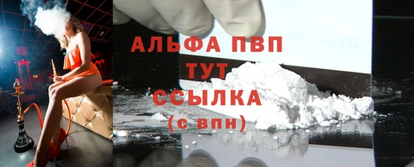 СК Бородино