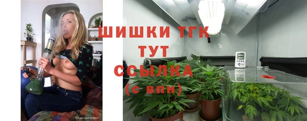 СК Бородино