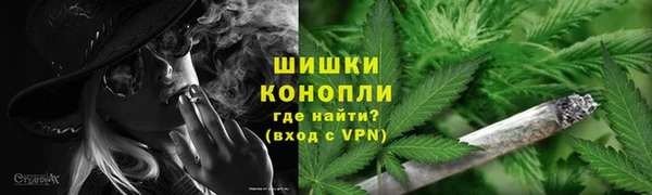 СК Бородино