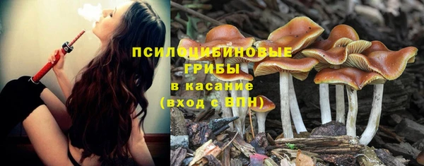 прущая мука Бронницы
