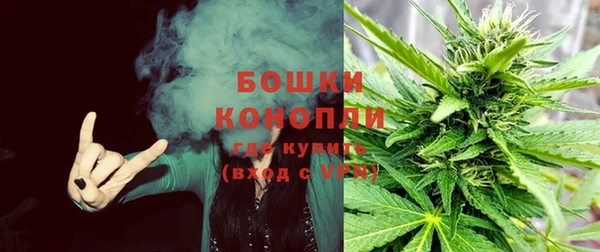 прущая мука Бронницы
