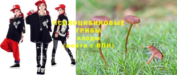 СК Бородино