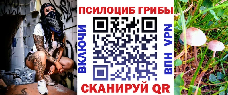 маркетплейс клад Уссурийск Псилоцибиновые грибы Psilocybine cubensis